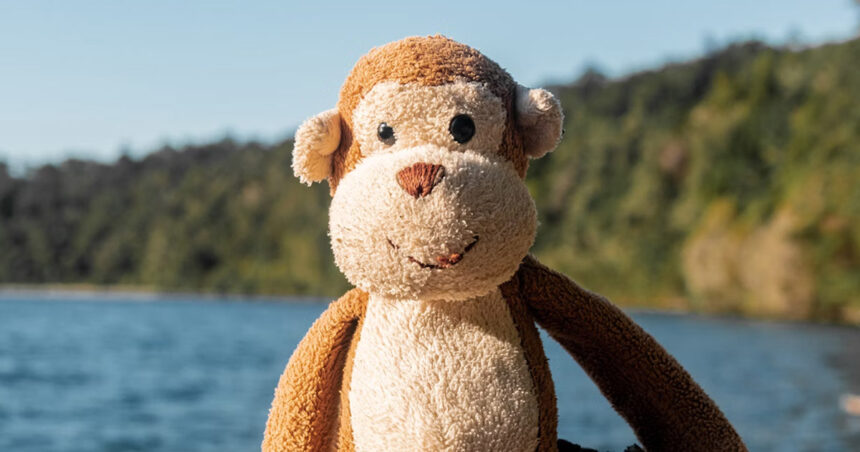 Collecte de poupées et peluches 