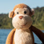 Collecte de poupées et peluches 
