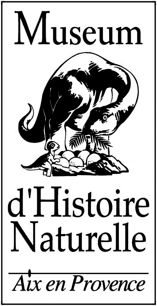 Muséum Histoire Naturelle d’Aix-en-Provence-NOIR